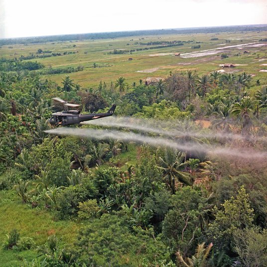 Toksyczne defolianty po raz pierwszy na masową skalę zostały użyte przez lotnictwo amerykańskie w cz