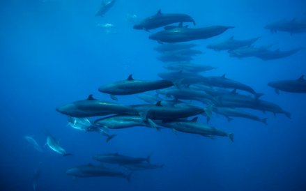 „Błękitna Planeta II”, odcinek 1