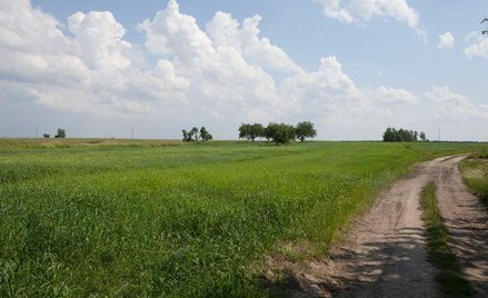 Dzierżawcy stracą 30 proc. gruntów rolnych