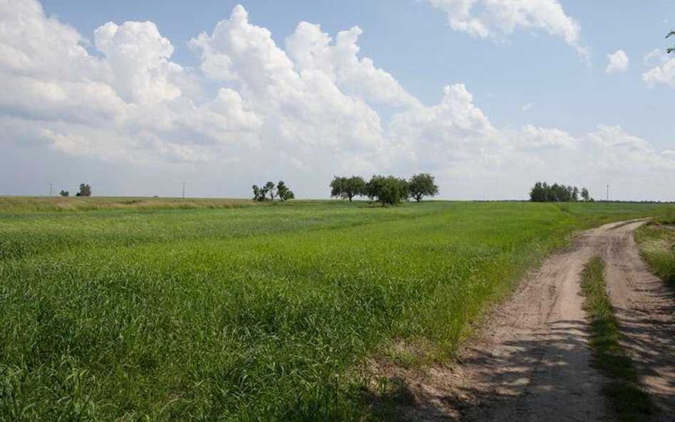 Dzierżawcy stracą 30 proc. gruntów rolnych