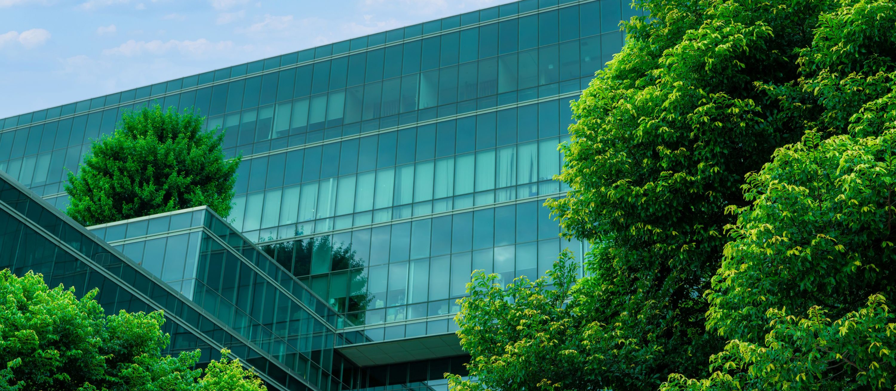 ESG może być konkurencyjnym atutem Polski