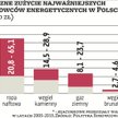 W Polsce, w ujęciu wartościowym, zdecydowanie najwięcej zużywanych surowców stanowią te wykorzystywa