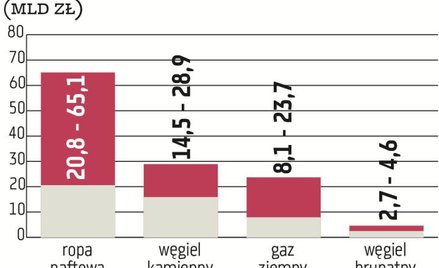 W Polsce, w ujęciu wartościowym, zdecydowanie najwięcej zużywanych surowców stanowią te wykorzystywa
