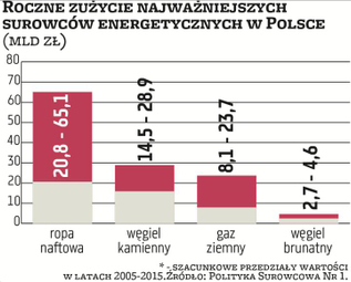 W Polsce, w ujęciu wartościowym, zdecydowanie najwięcej zużywanych surowców stanowią te wykorzystywa