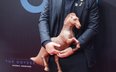 „Wstydziłabym się”. Słynna badaczka miażdży „Odyseję” Christophera Nolana