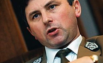 Prokuratorzy sprawdzają system sprzedaży drewna