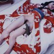 ARAKI Nabuyoshi