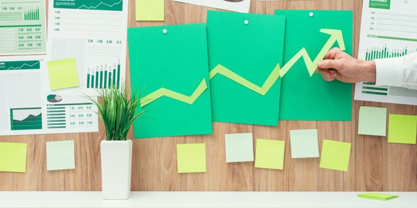 Słabną możliwości kontroli realizacji celów ESG