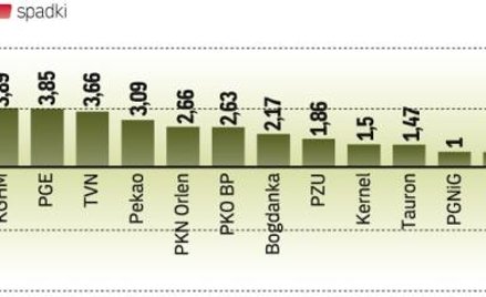 Fakt wypłaty dywidendy przez Telekomunikację Polską sztucznie obniżył wczoraj wartość indeksu najwię