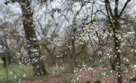 Przed nami kolejna zmiana w pogodzie