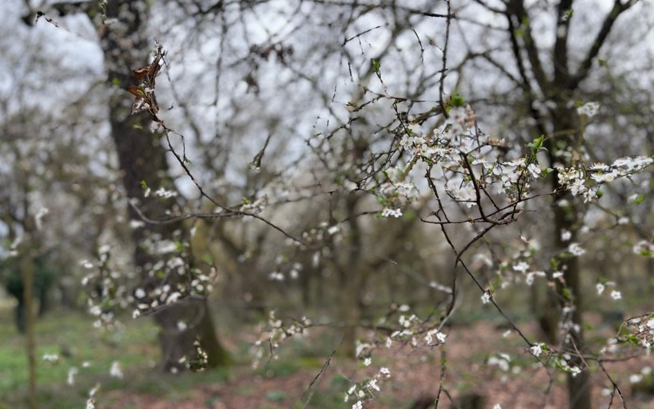 Przed nami kolejna zmiana w pogodzie