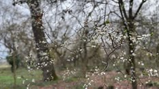 Przed nami kolejna zmiana w pogodzie