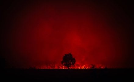 Zdjęcie udostępnione przez SDIS 33, oficjalną straż pożarną i ratownictwa dla regionu Żyrondy. Pożar