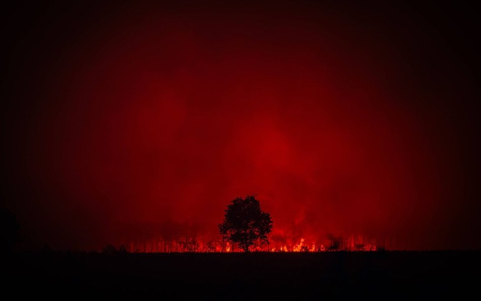 Zdjęcie udostępnione przez SDIS 33, oficjalną straż pożarną i ratownictwa dla regionu Żyrondy. Pożar