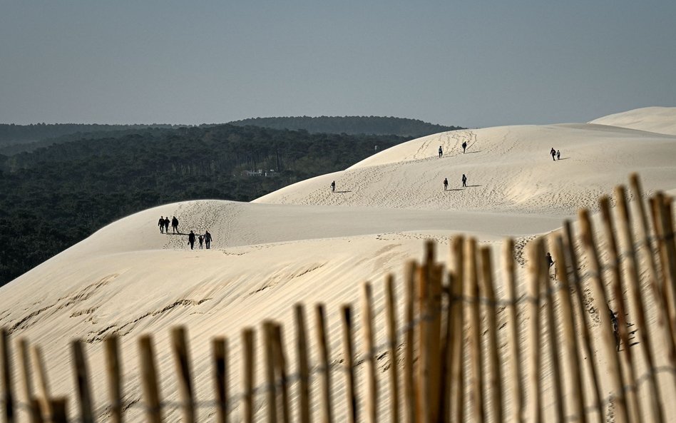 Wydmy La Teste-de-Buch, koło Zatoki Arcachon