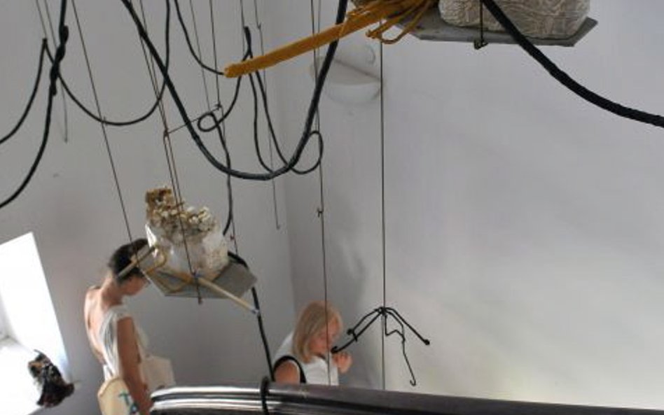 Iza Tarasewicz, The Means, The Milieu, 2015 (fragment),