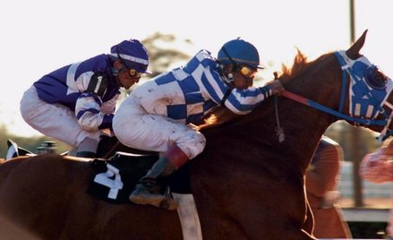 Secretariat: Niezwyciężony koń w filmie Disneya