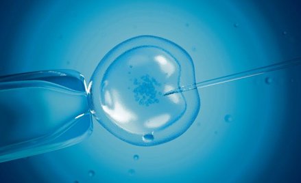 In vitro, czyli politycy żonglują probówkami