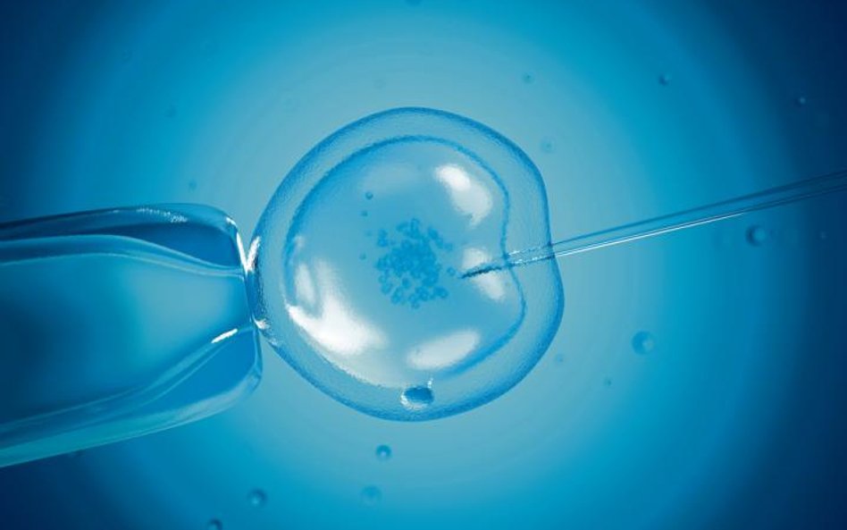 In vitro, czyli politycy żonglują probówkami