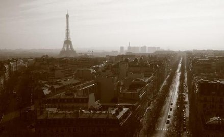 Zurych i Paryż mają najdłuższą sieć autobusową – ponad 1,7 km na 1 tys. mieszkańców.