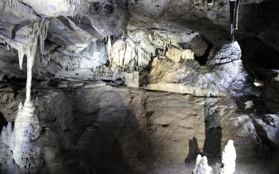 Jaskinie w Han-sur-Lesse w Belgii