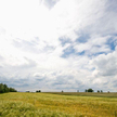 200 milionów lat temu wymarła połowa gatunków