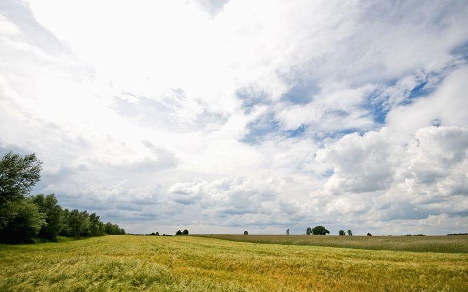 200 milionów lat temu wymarła połowa gatunków