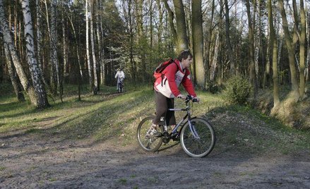 W Puszczy Kampinoskiej