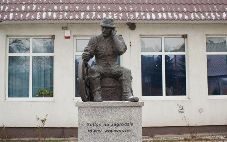 Podkarpacki sołtys roku