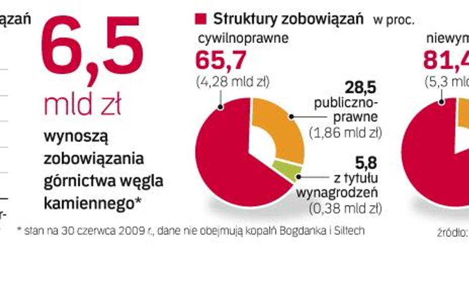 Największe zobowiązania dotyczą kontraktów z usługodawcami (ok. 2 mld zł). Wierzyciele są na razie c