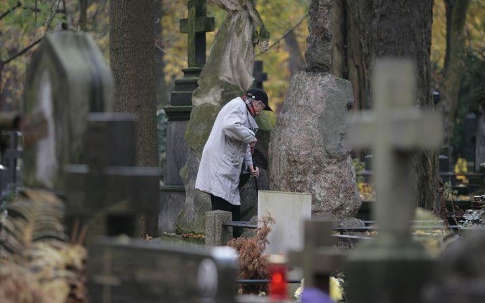 Porządki na warszawskich Powązkach