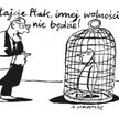 Komentarz rysunkowy. Pamiętajcie Ptak