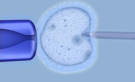 Minister zdrowia chce leczyć niepłodność bez pieniędzy