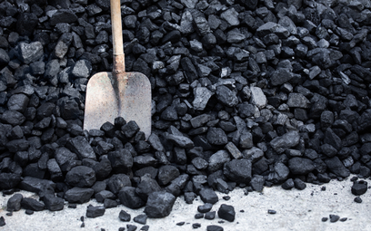 PGG podnosi ceny węgla. Dwucyfrowa podwyżka na węglu opałowym