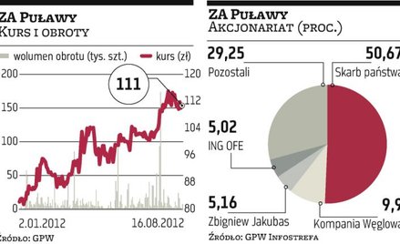 Puławy. Teraz zarządy chemicznych grup muszą poszukać oszczędności