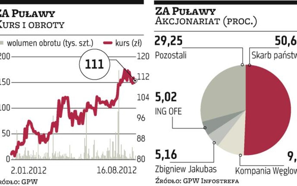 Puławy. Teraz zarządy chemicznych grup muszą poszukać oszczędności