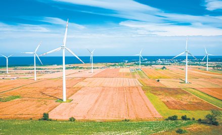 Mniejszy obowiązek OZE ma dać tańszy prąd