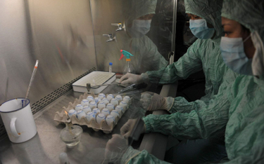 "WSJ": Pracownicy laboratorium z Wuhan w szpitalu przed pandemią