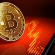 Byki widzą dno bitcoina