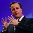 Brytyjski premier David Cameron bardzo szybko został uznany za zwycięzcę szczytu.