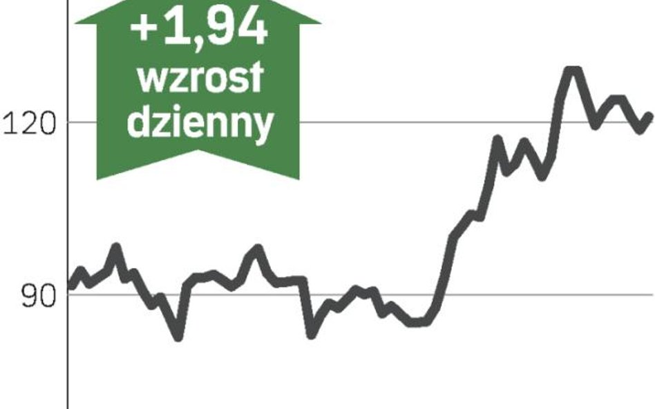Rząd sprzedaje resztówki
