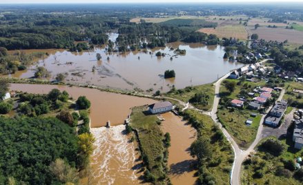 Na zdjęciu z drona wylana rzeka Bóbr w Szprotawie w woj. lubuskim