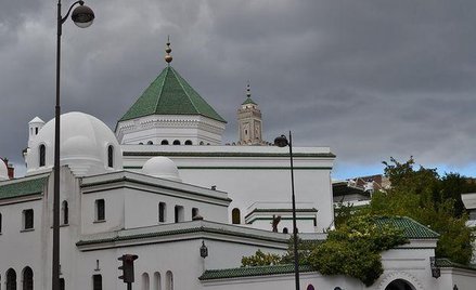 Kościelniak: Budyniowy sekularyzm