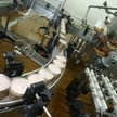 Sprzedaż dzierżawionej linii produkcyjnej nie jest zwolniona z podatku, bo nie jest ona rzeczą używa