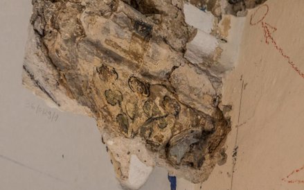 Pod warstwami farby i tynku konserwatorzy odkryli oryginalne zdobienia