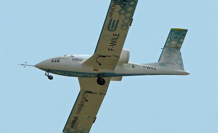 fot. Bernd Sieker (CCA-2.0)