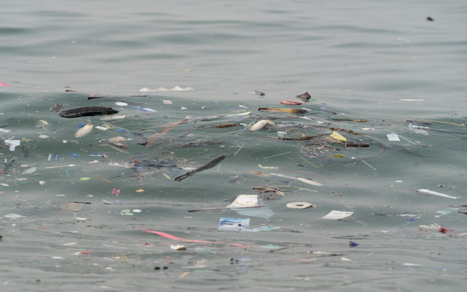 Andromeda pomoże wykryć mikroplastik na plaży.  Każdy może w tym wziąć udział