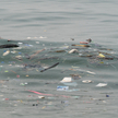 Śmieci unoszą się w oceanie przy plaży Bangsaen w Chon Buri w Tajlandii