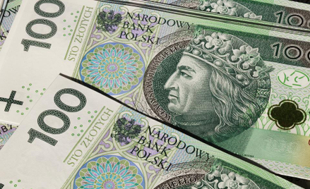 Finanse publiczne: Obligacje rządu stały się dobrem rzadkim