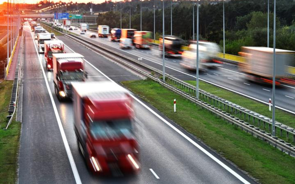 Polskie towary trafiają głównie na rynki unijne. Jednak komponenty i półprodukty z Polski są też wyk